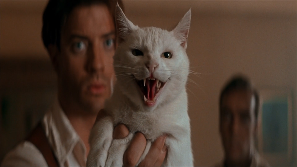 Imhotep siendo asustado por un gato blanco