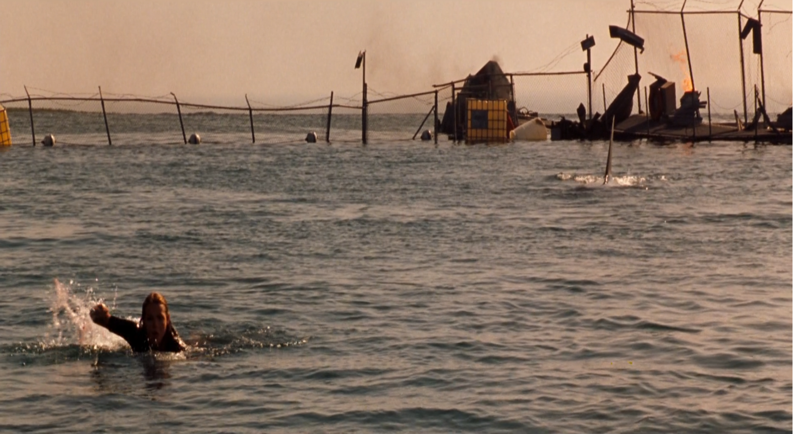 Susan McAlester huyendo en el agua de uno de los tiburones en Deep Blue Sea (1999) Susan McAlester huyendo en el agua de uno de los tiburones en Deep Blue Sea (1999)