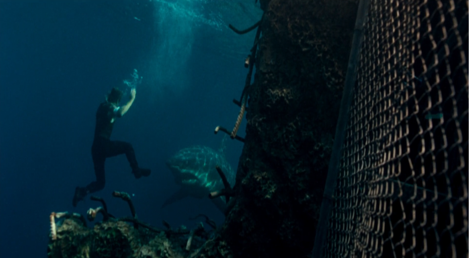 Thomas Jane junto a un animatrónico de tiburón mako en Deep Blue Sea (1999) Thomas Jane junto a un animatrónico de tiburón mako en Deep Blue Sea (1999)