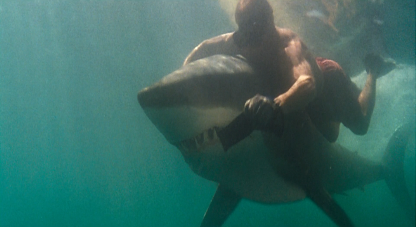 Thomas Jane junto a un animatrónico de tiburón tigre en Deep Blue Sea (1999) Thomas Jane junto a un animatrónico de tiburón tigre en Deep Blue Sea (1999)