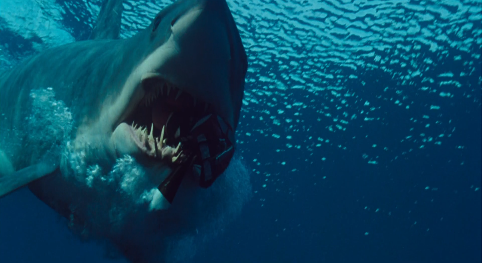 Escena de uno de los tiburones mordiendo un extintor señuelo en Deep Blue Sea (1999) Escena de uno de los tiburones mordiendo un extintor señuelo en Deep Blue Sea (1999)